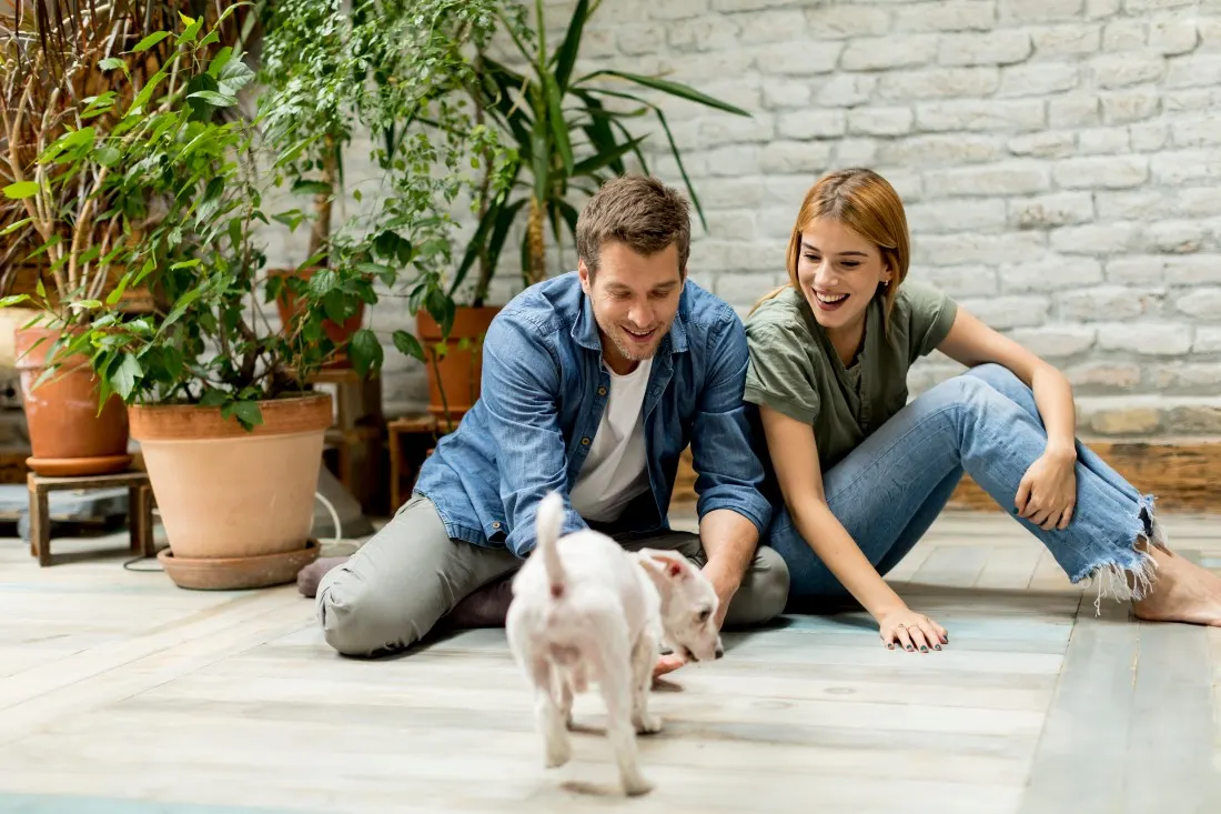 The Ultimate Checklist for New Puppy Parents